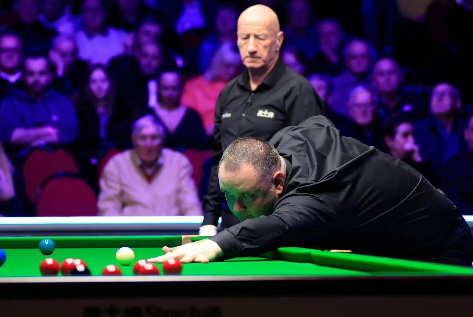 豪的言论中 豪的言论中